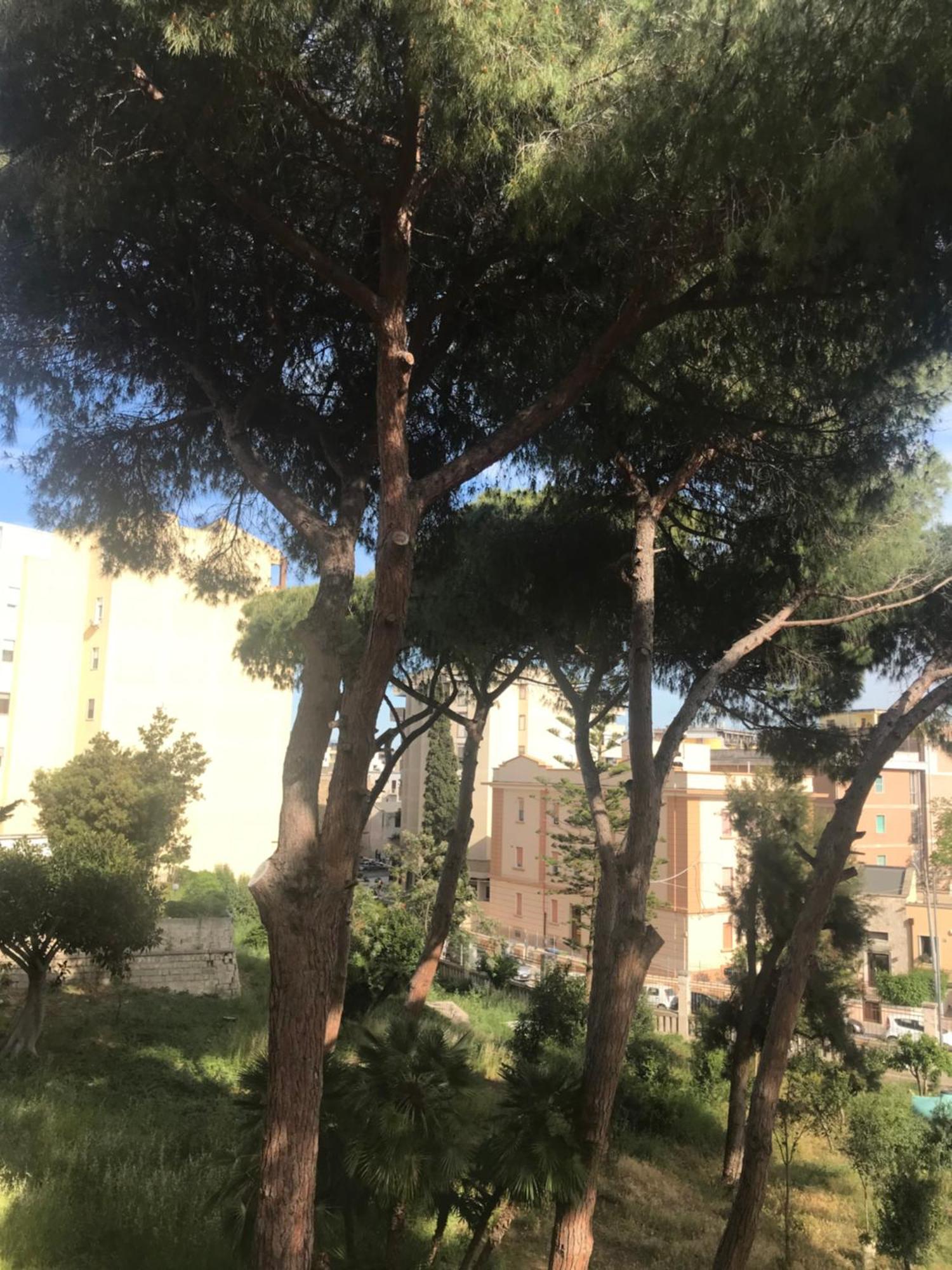 Villa San Giuseppe Brindisi Kültér fotó